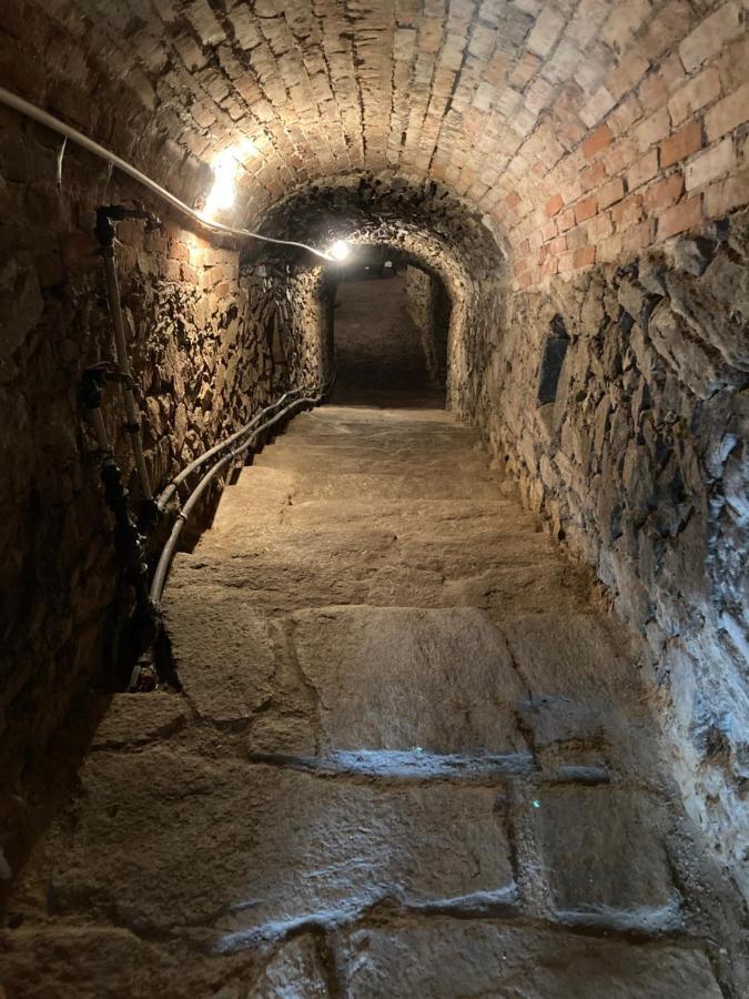 Ubytování Šmudla Znojmo Exterior foto